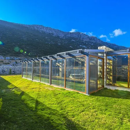Farm קס